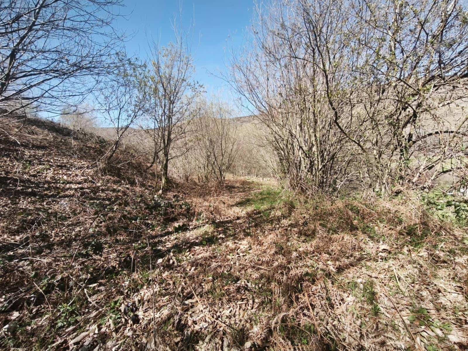 Building Plot for sale in Rionansa - € 99,000 (Ref: 9719779)