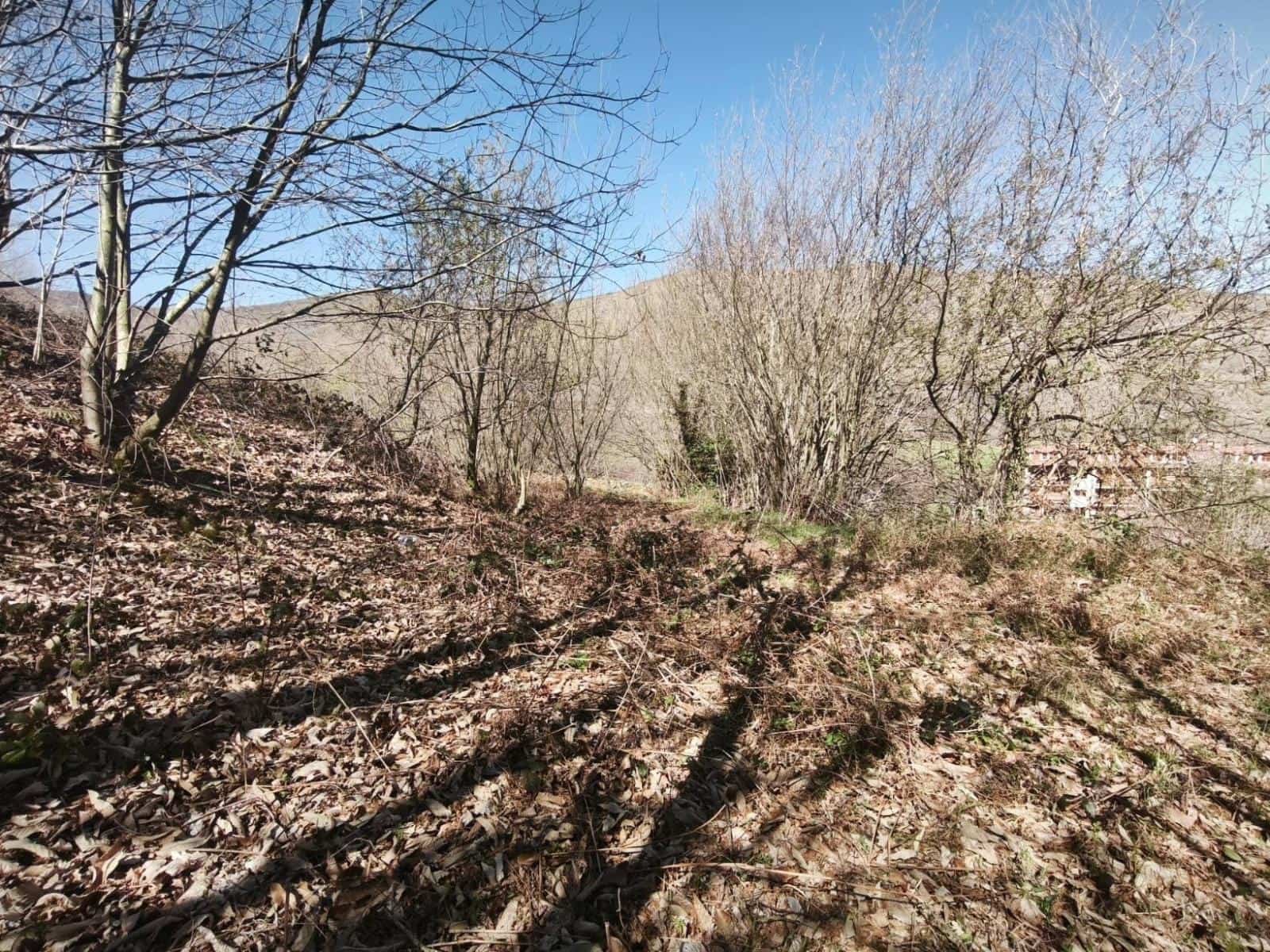 Building Plot for sale in Rionansa - € 99,000 (Ref: 9719779)