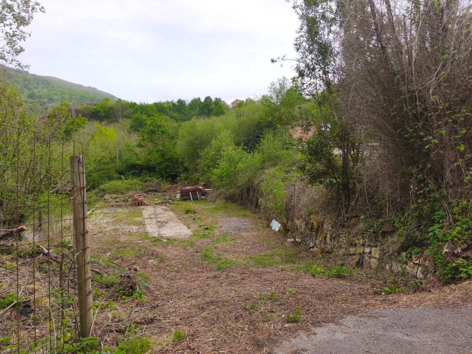 Solar/Parcela en Rionansa en venta - 90.000 € (Ref: 9806313)