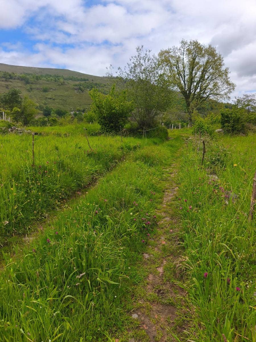 Bouwgrond te koop in Rionansa - € 112.000 (Ref: 9861726)