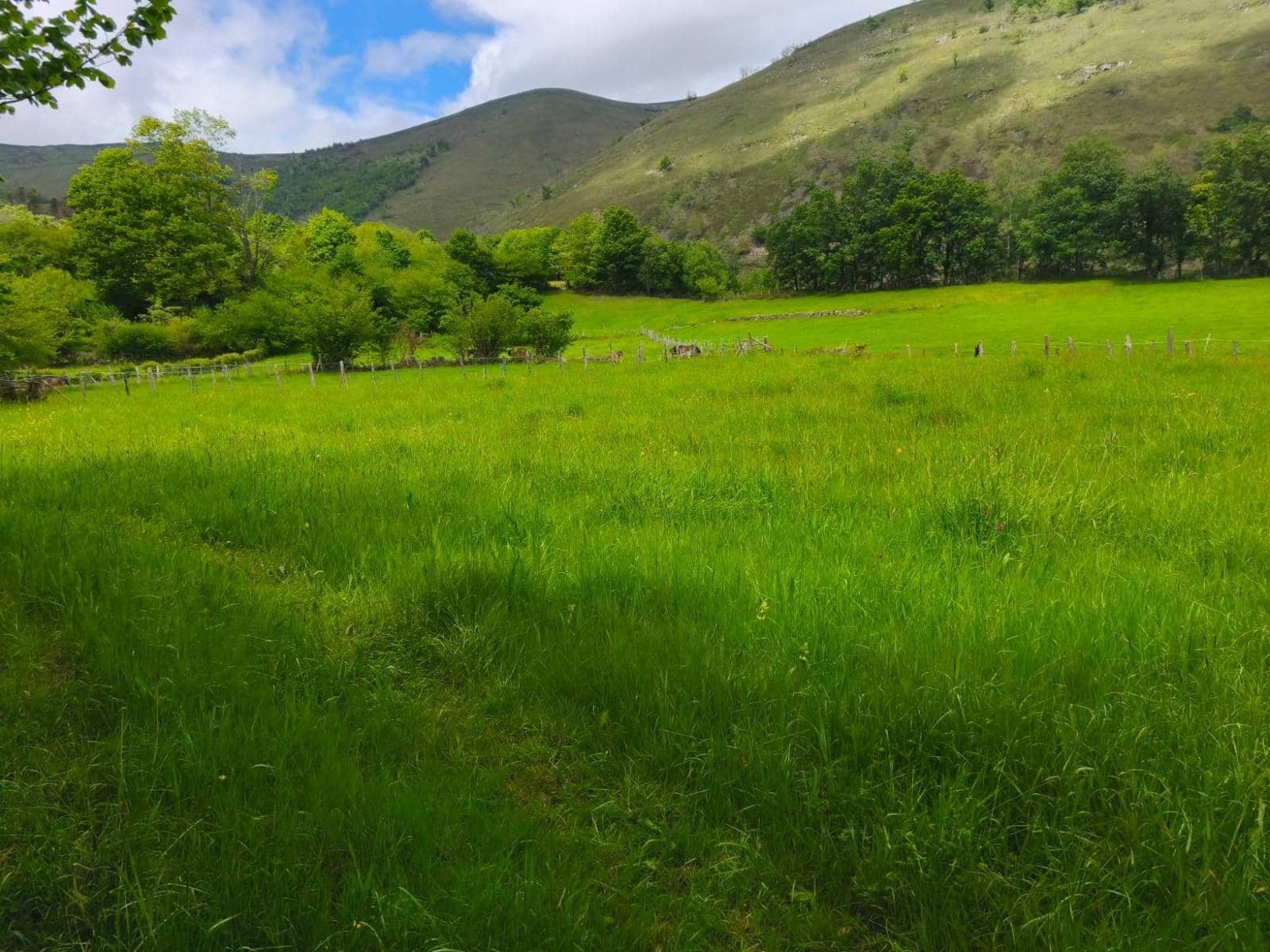 Bouwgrond te koop in Rionansa - € 112.000 (Ref: 9861726)