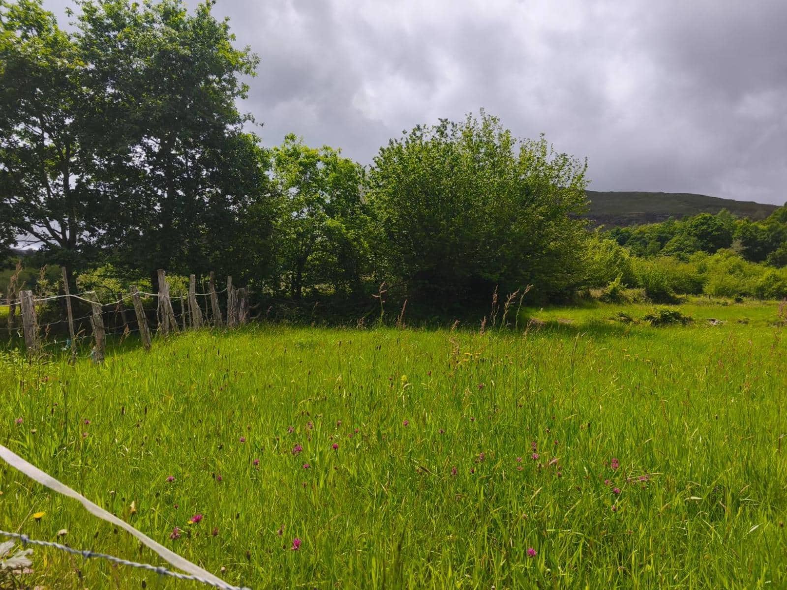 Bouwgrond te koop in Rionansa - € 112.000 (Ref: 9861726)