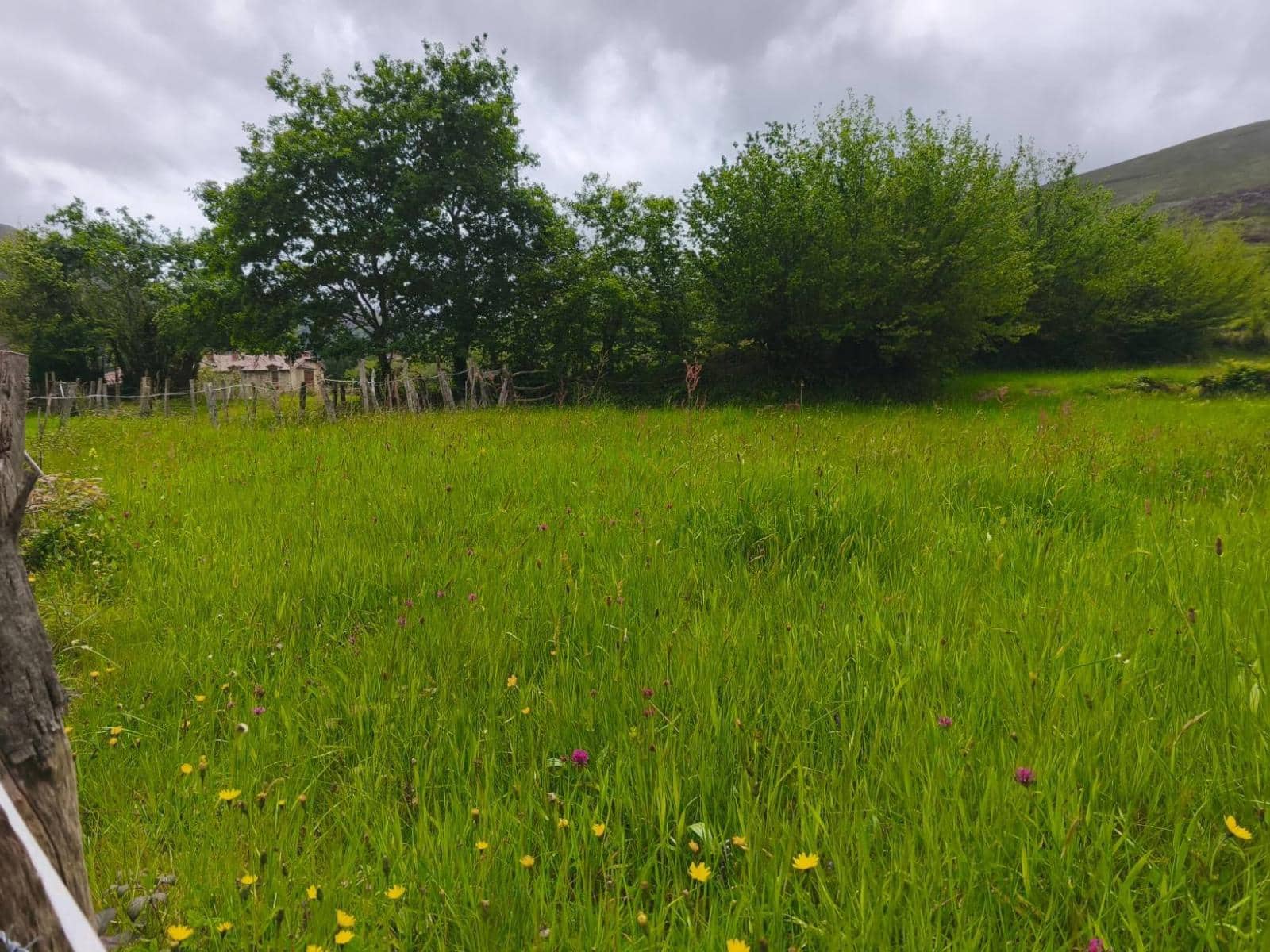 Bouwgrond te koop in Rionansa - € 112.000 (Ref: 9861726)