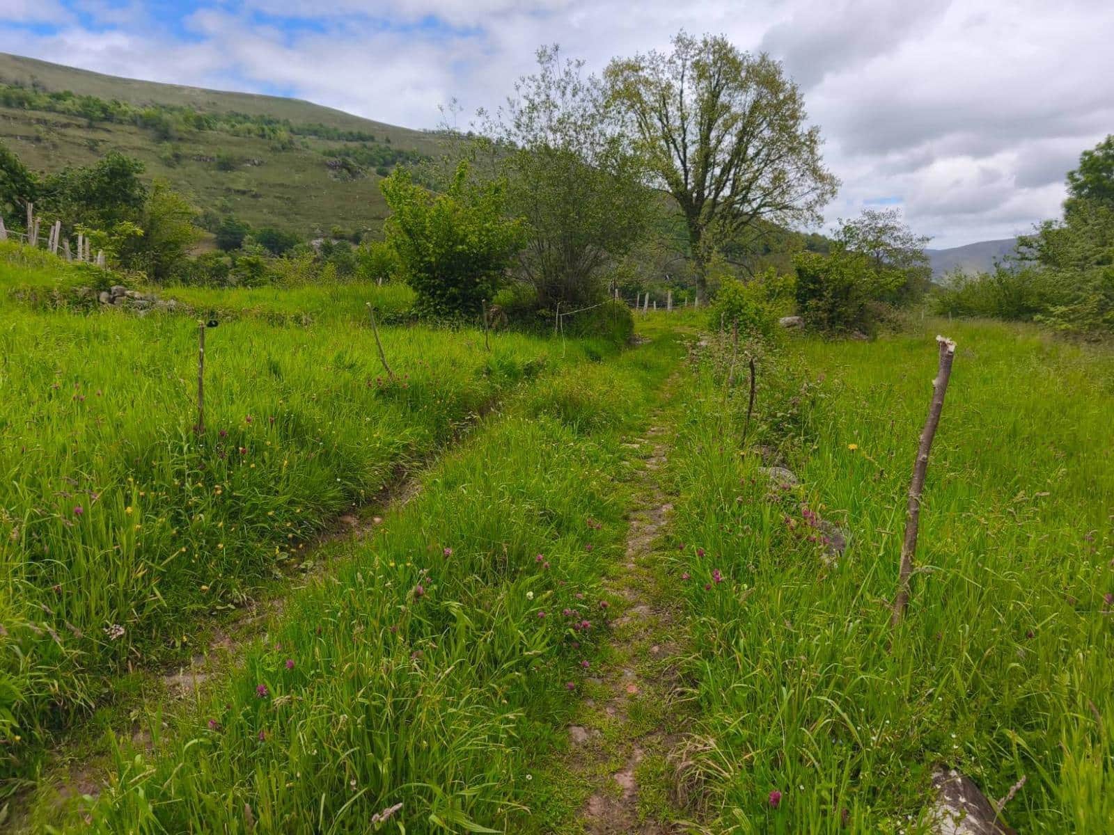 Bouwgrond te koop in Rionansa - € 112.000 (Ref: 9861726)