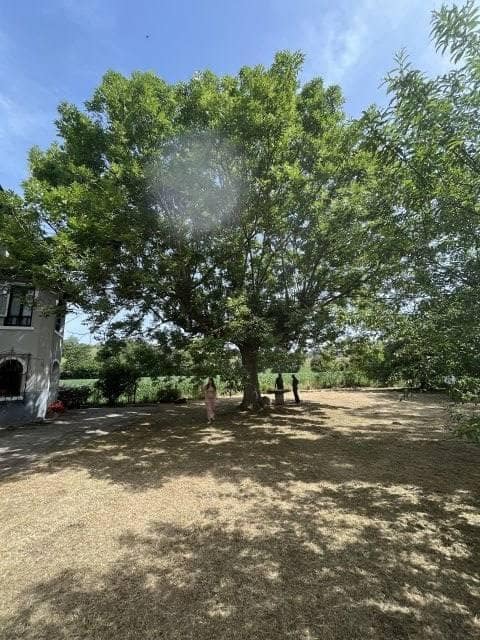 4 soveværelse Villa til salg i La Cavada - € 385.000 (Ref: 9986538)
