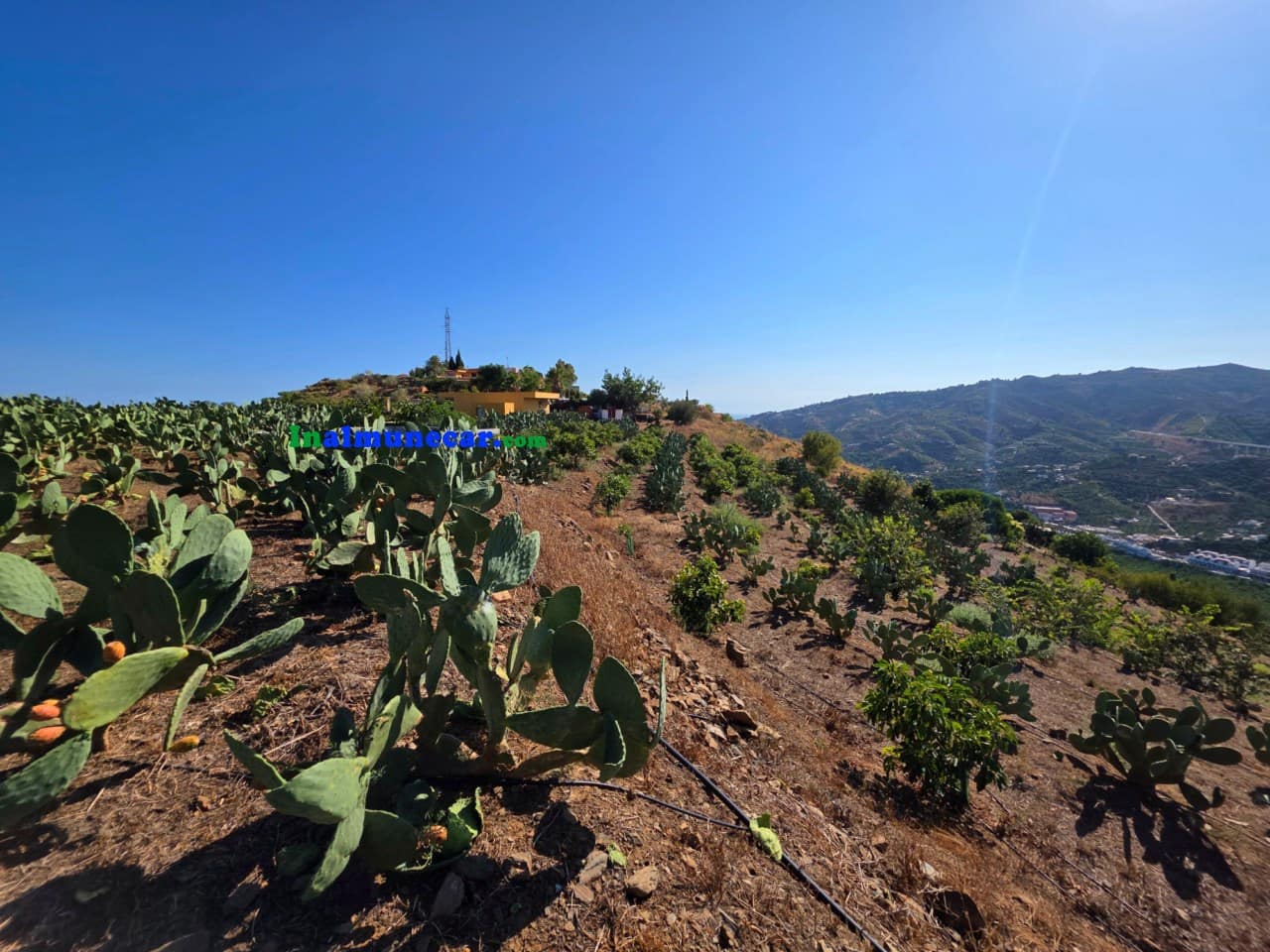 Bouwgrond te koop in Almunecar - € 136.000 (Ref: 10048822)