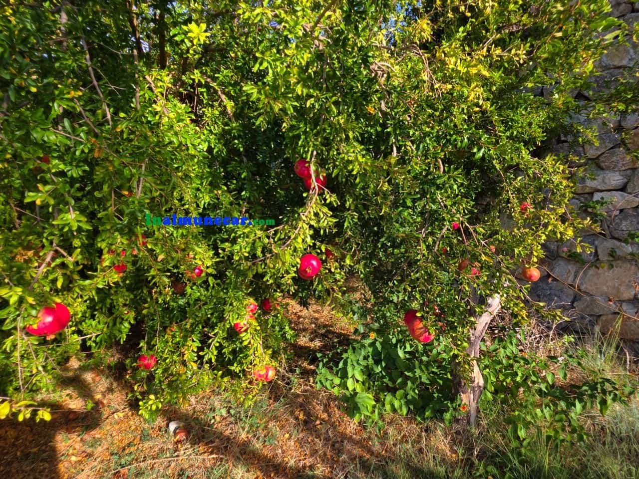 5 bedroom Villa for sale in La Herradura with pool - € 1,100,000 (Ref: 9410662)