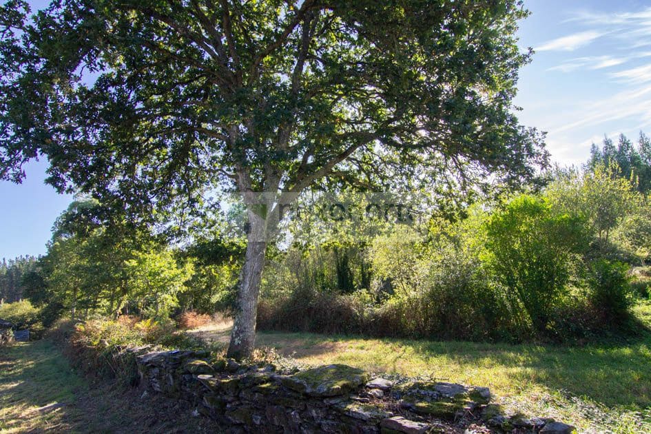 2 soverom Hus til salgs i Guitiriz - € 36 000 (Ref: 10184209)