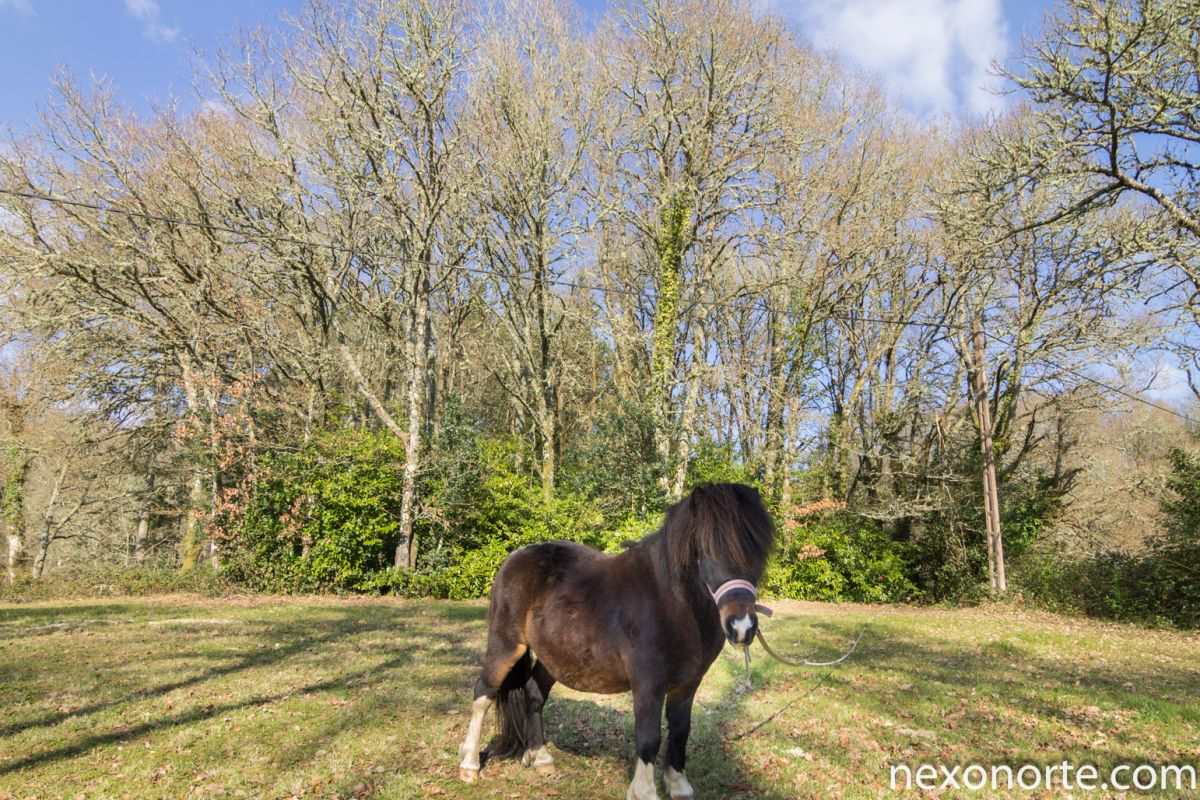 4 soveværelse Byhus til salg i Vilalba med garage - € 89.000 (Ref: 3576581)