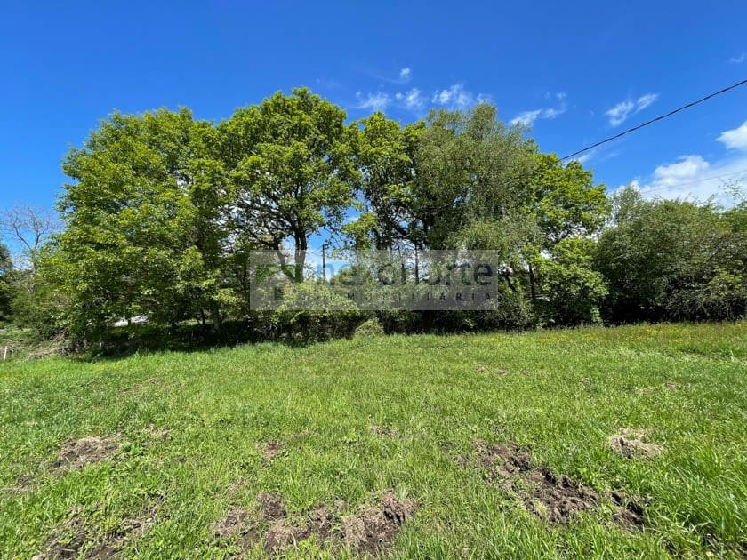 Terre non Aménagée à vendre à Vilalba - 16 000 € (Ref: 8342910)