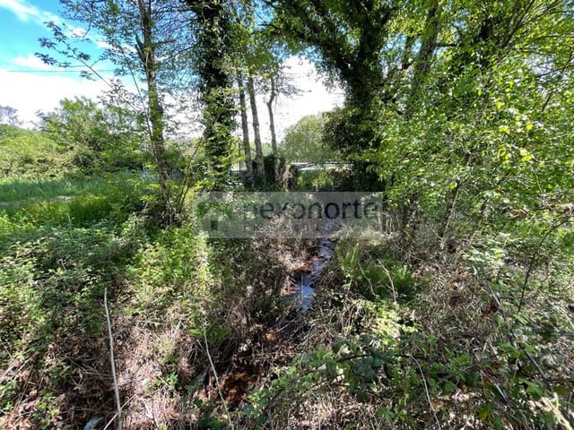 Teren niezagospodarowany na sprzedaż w Vilalba - 16 000 € (Ref: 8342910)