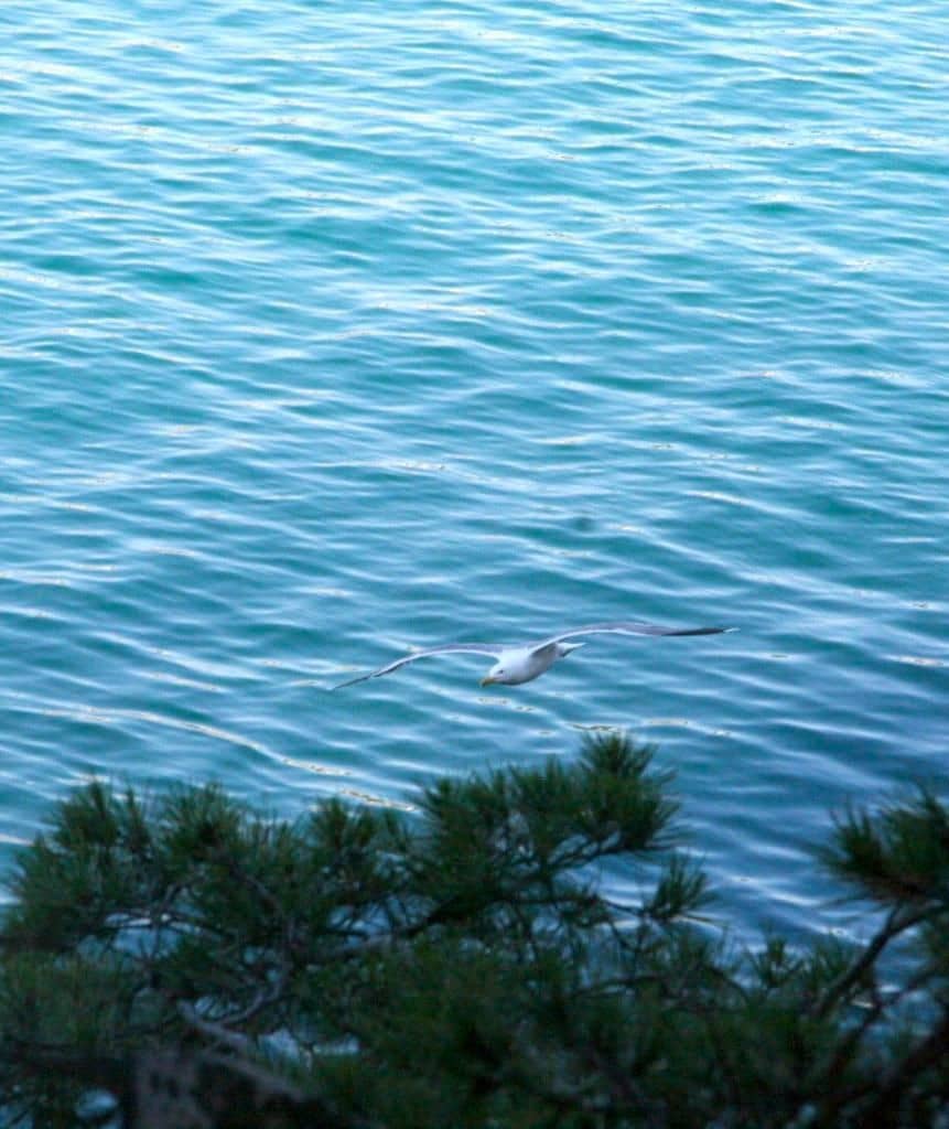 5 quarto Moradia para venda em Calonge i Sant Antoni com piscina garagem - 989 000 € (Ref: 8390226)