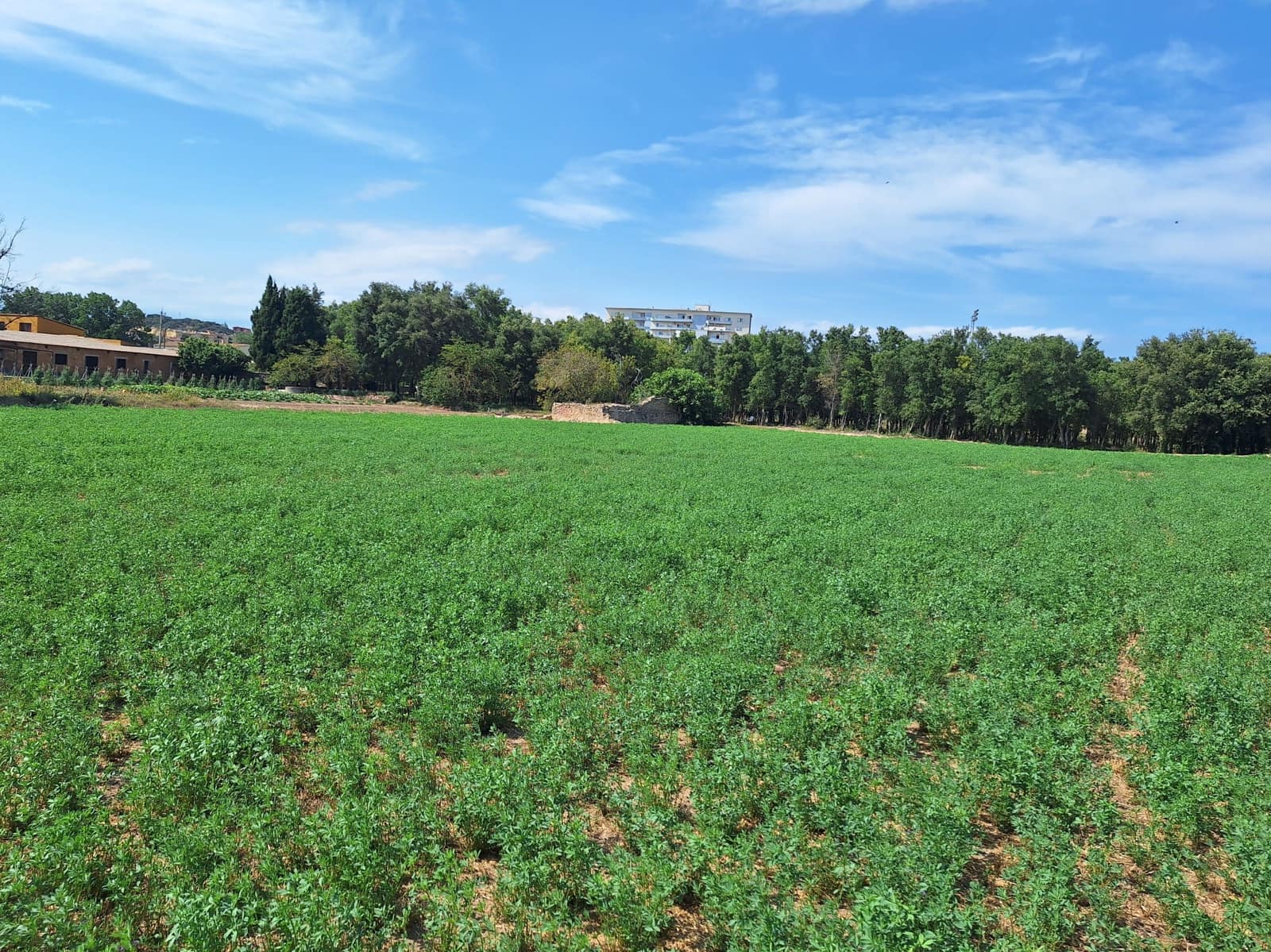 5 soveværelse Finca/Landehus til salg i Mont-ras med swimmingpool garage - € 1.100.000 (Ref: 8429273)