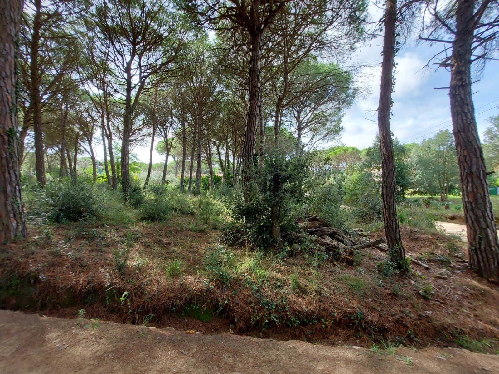 Byggetomt til salgs i Santa Cristina d'Aro - € 135 000 (Ref: 9279746)