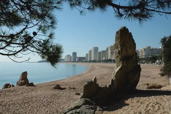 1 chambre Appartement à vendre à Castell d'Aro - 155 000 € (Ref: 9914566)