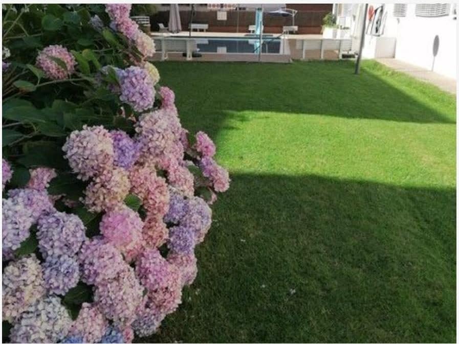 Apartment for sale in Lloret de Mar with pool - € 123,000 (Ref: 10032481)