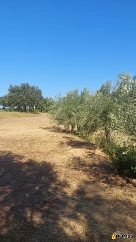 2 soveværelse Finca/Landehus til salg i Begur - € 2.100.000 (Ref: 10037791)