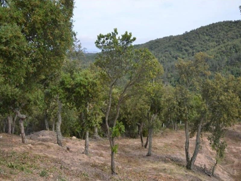 5 soveværelse Villa til salg i Lloret de Mar - € 629.000 (Ref: 5236274)