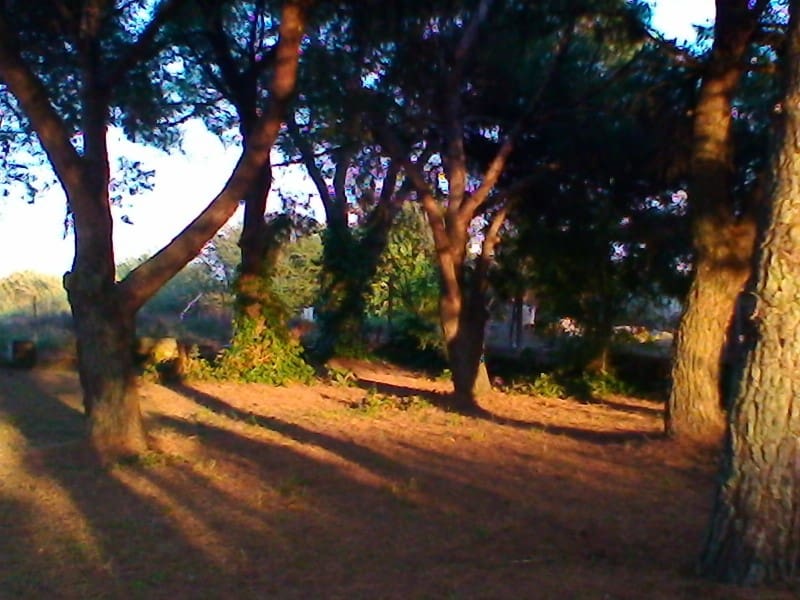 1 quarto Moradia para venda em Riudellots de la Selva com garagem - 548 000 € (Ref: 5236291)