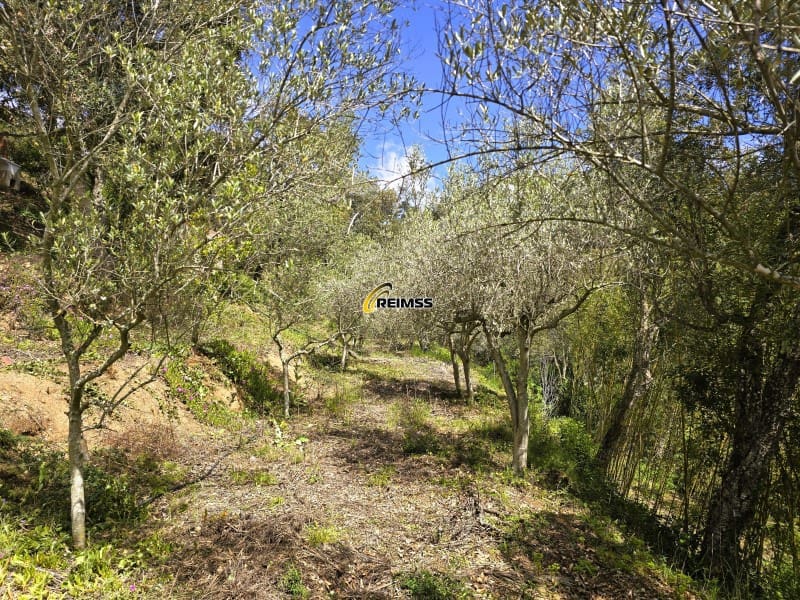 4 chambre Villa/Maison à vendre à Lloret de Mar avec garage - 367 000 € (Ref: 5338210)