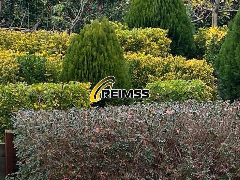 4 makuuhuone Huvila myytävänä paikassa Macanet de la Selva - 473 000 € (Ref: 5667547)