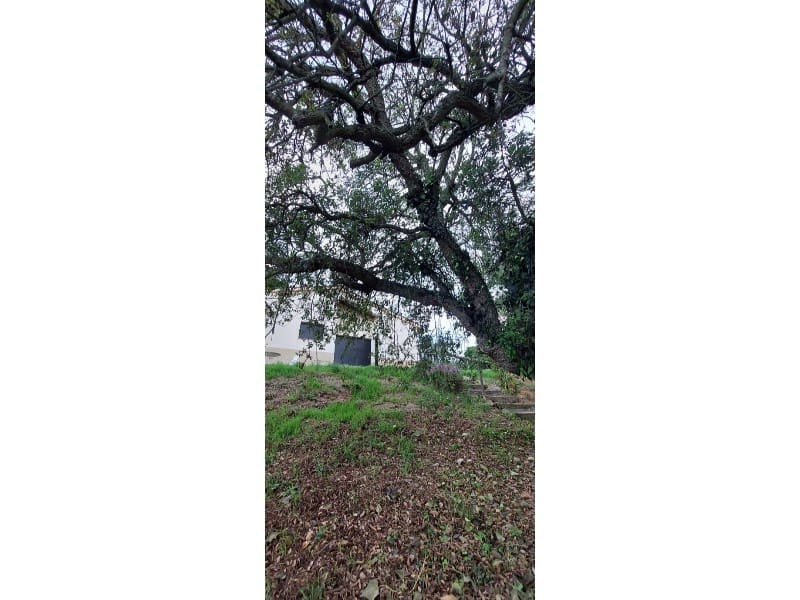 3 soverom Villa til salgs i Macanet de la Selva - € 199 500 (Ref: 6939371)