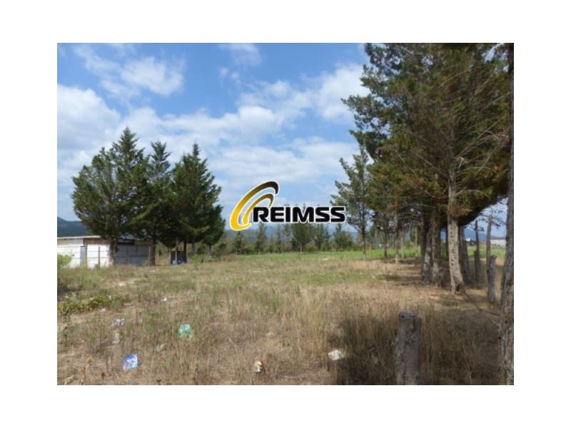 8 sovrum Villa till salu i Riudarenes - 892 500 € (Ref: 7311486)