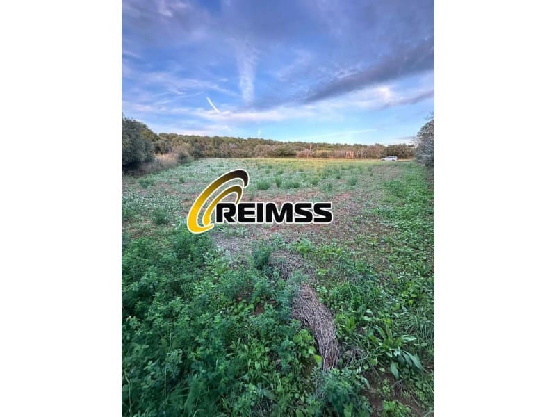 2 slaapkamer Villa te koop in Llafranc - € 295.000 (Ref: 8744332)