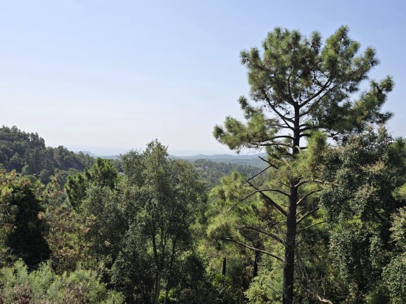 5 soveværelse Villa til salg i Lloret de Mar - € 259.000 (Ref: 9171348)