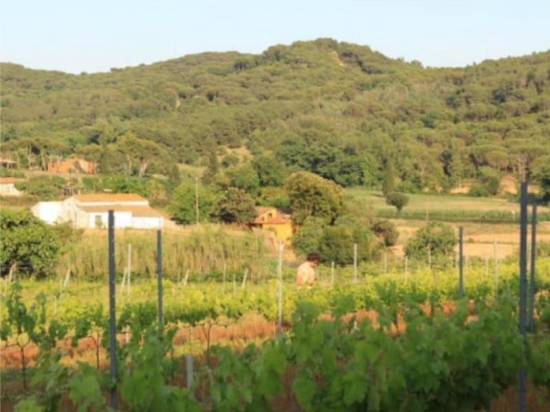 1 bedroom Villa for sale in Tordera - € 295,000 (Ref: 9342145)