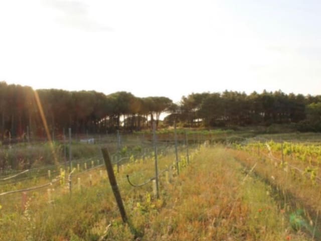 1 bedroom Villa for sale in Tordera - € 295,000 (Ref: 9342145)