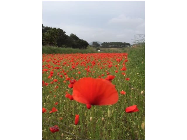 1 bedroom Villa for sale in Tordera - € 295,000 (Ref: 9342145)