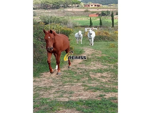 1 slaapkamer Villa te koop in Tordera - € 295.000 (Ref: 9342145)