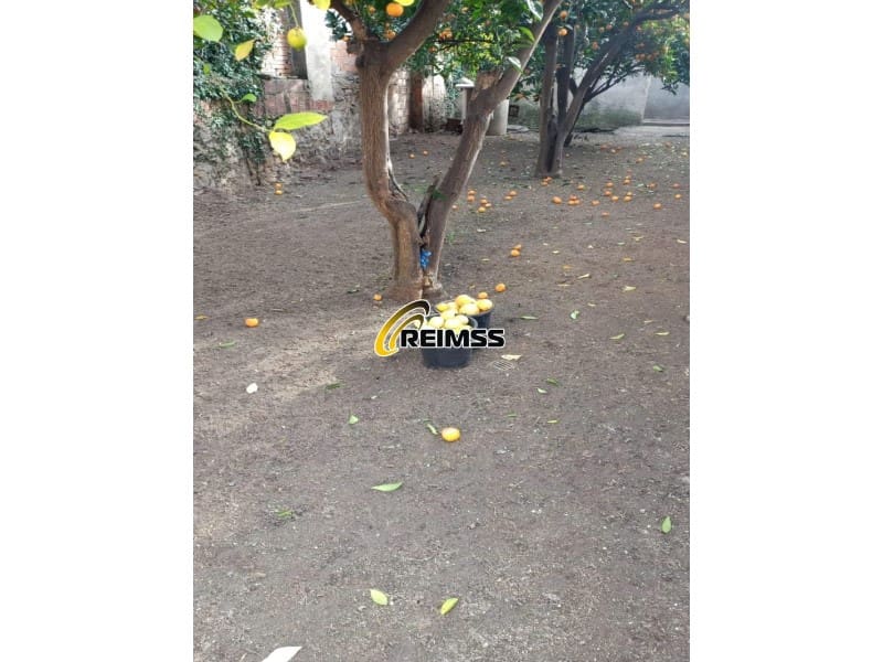 Terreno Non Edificato in vendita in Pineda de Mar - 91.500 € (Rif: 9378971)