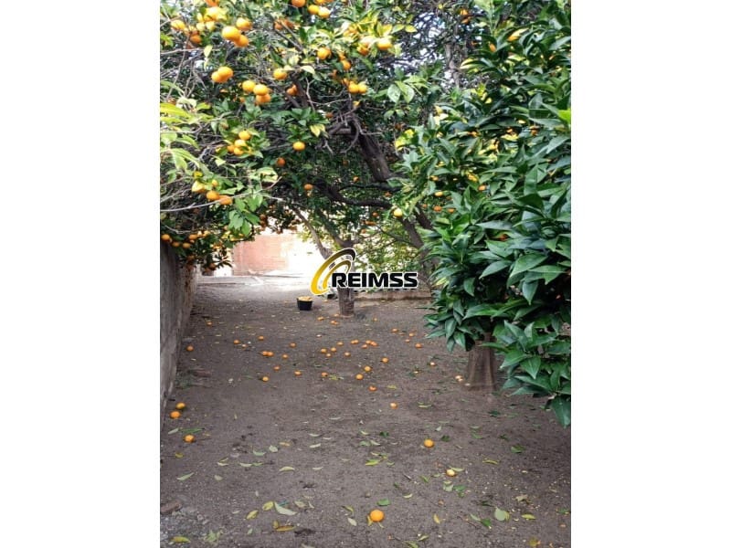 Undeveloped Land for sale in Pineda de Mar - € 84,000 (Ref: 9378971)