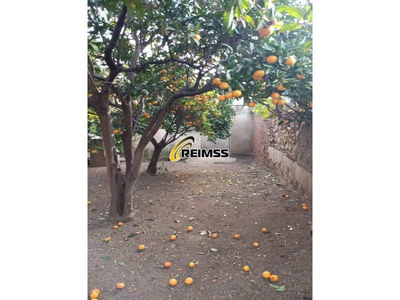 Undeveloped Land for sale in Pineda de Mar - € 84,000 (Ref: 9378971)