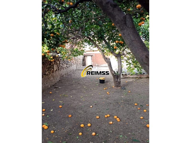 Undeveloped Land for sale in Pineda de Mar - € 84,000 (Ref: 9378971)