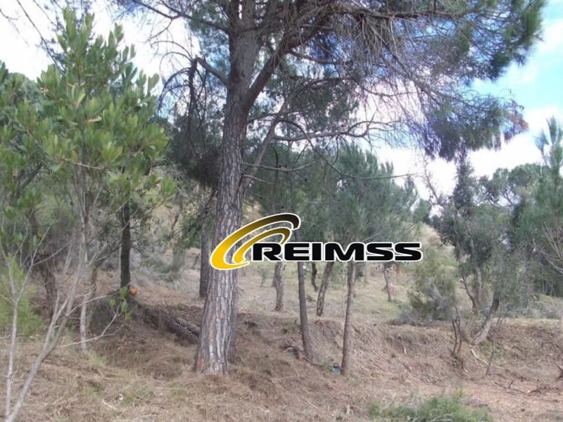 1 bedroom Villa for sale in Sant Feliu de Guixols - € 415,000 (Ref: 9965764)