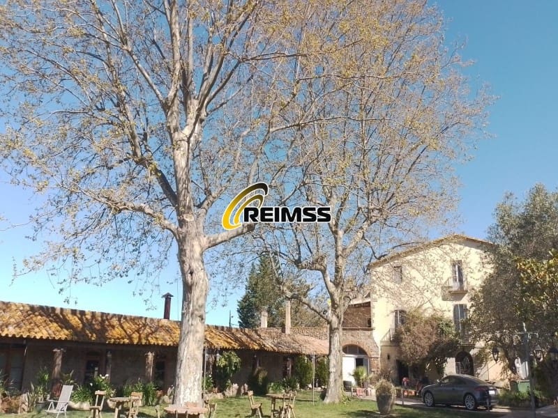 7 bedroom Villa for sale in Santa Cristina d'Aro - € 1,699,999 (Ref: 9965771)