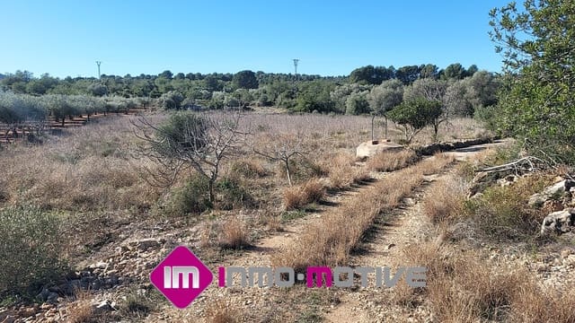 Finca/Country House for sale in Cervera del Maestre / Cervera del Maestrat - € 48,000 (Ref: 8260618)