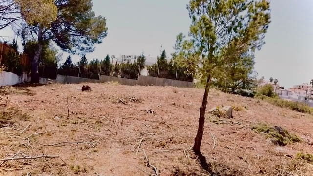 Grond te koop in Peñíscola - € 206.500 (Ref: 8675347)