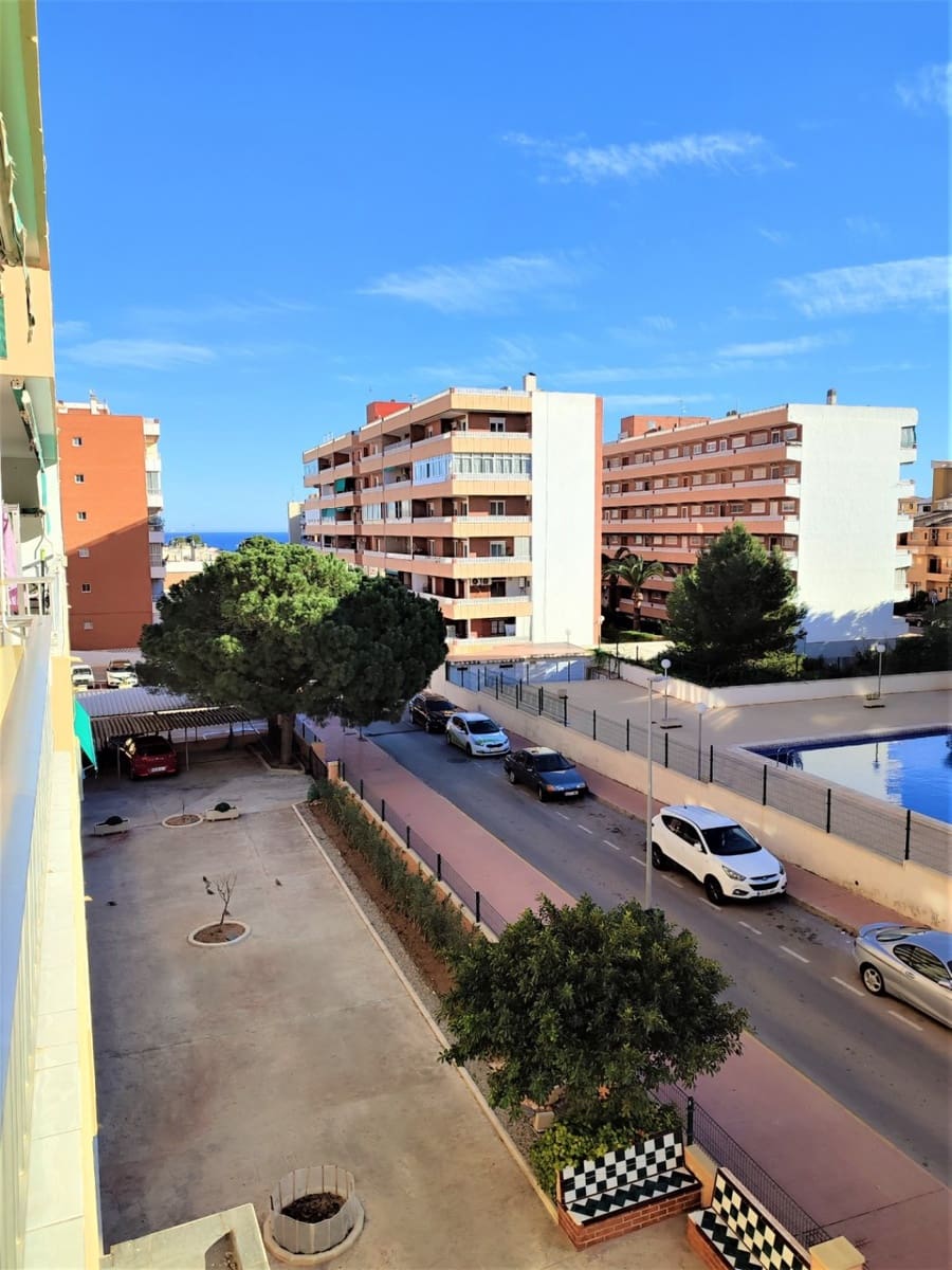 2 bedroom Apartment for rent in Punta Prima with pool - € 750 (Ref: 7338551)