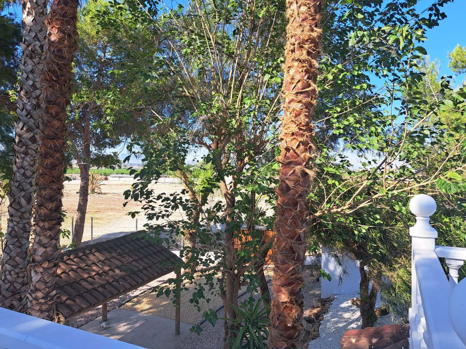 5 bedroom Villa for sale in Los Desamparados with pool - € 450,000 (Ref: 8472506)