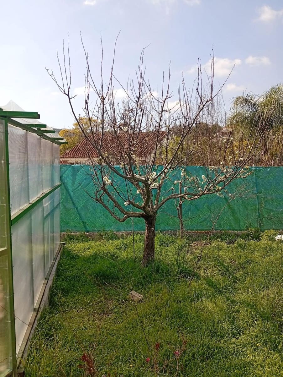 1 slaapkamer Finca/Landhuis te koop in Coin met zwembad garage - € 259.000 (Ref: 10023202)