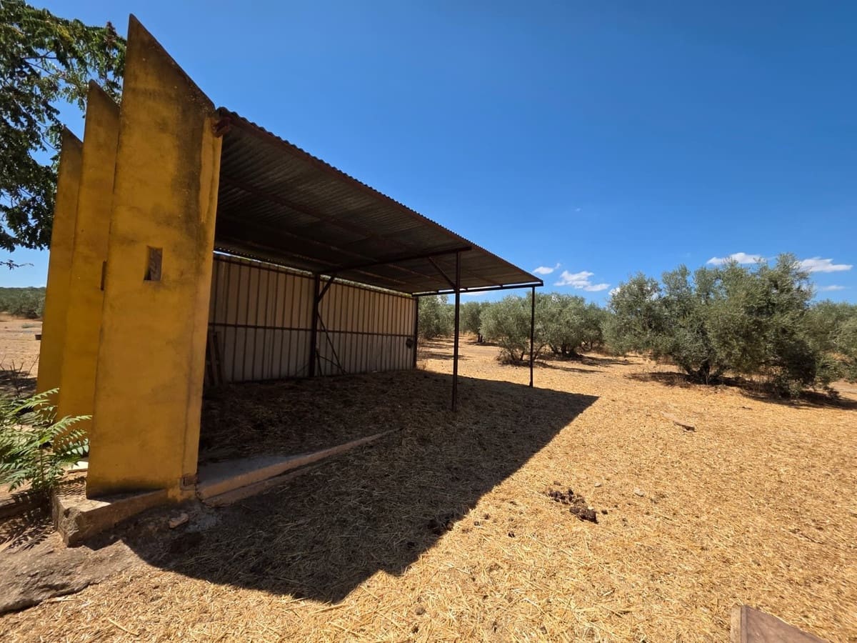 8 quarto Comercial para venda em Antequera com piscina garagem - 795 000 € (Ref: 10045849)