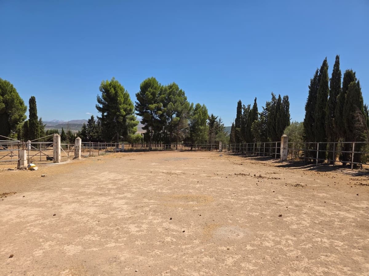 8 quarto Comercial para venda em Antequera com piscina garagem - 795 000 € (Ref: 10045849)