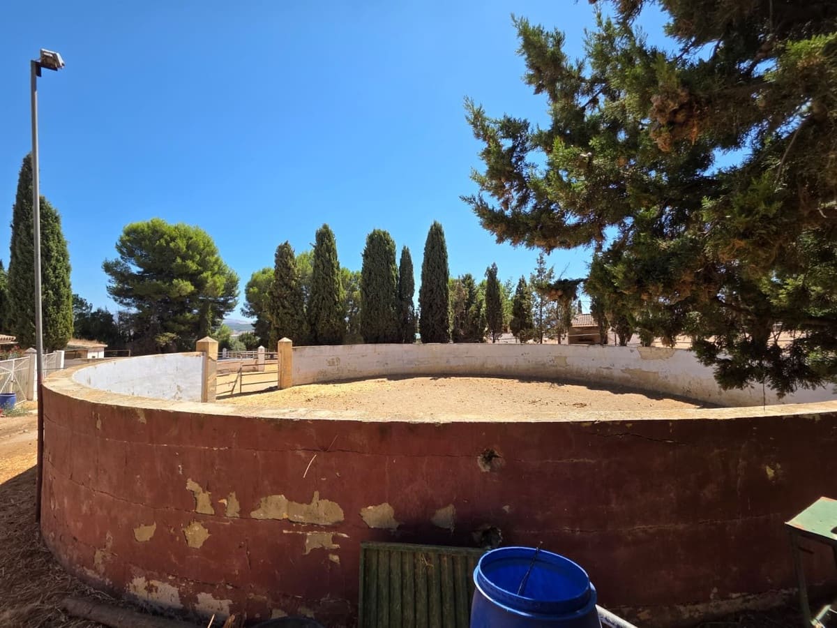8 quarto Comercial para venda em Antequera com piscina garagem - 795 000 € (Ref: 10045849)