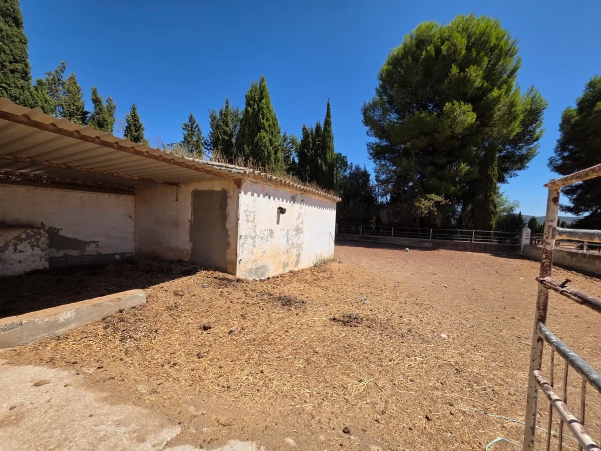 8 quarto Comercial para venda em Antequera com piscina garagem - 795 000 € (Ref: 10045849)