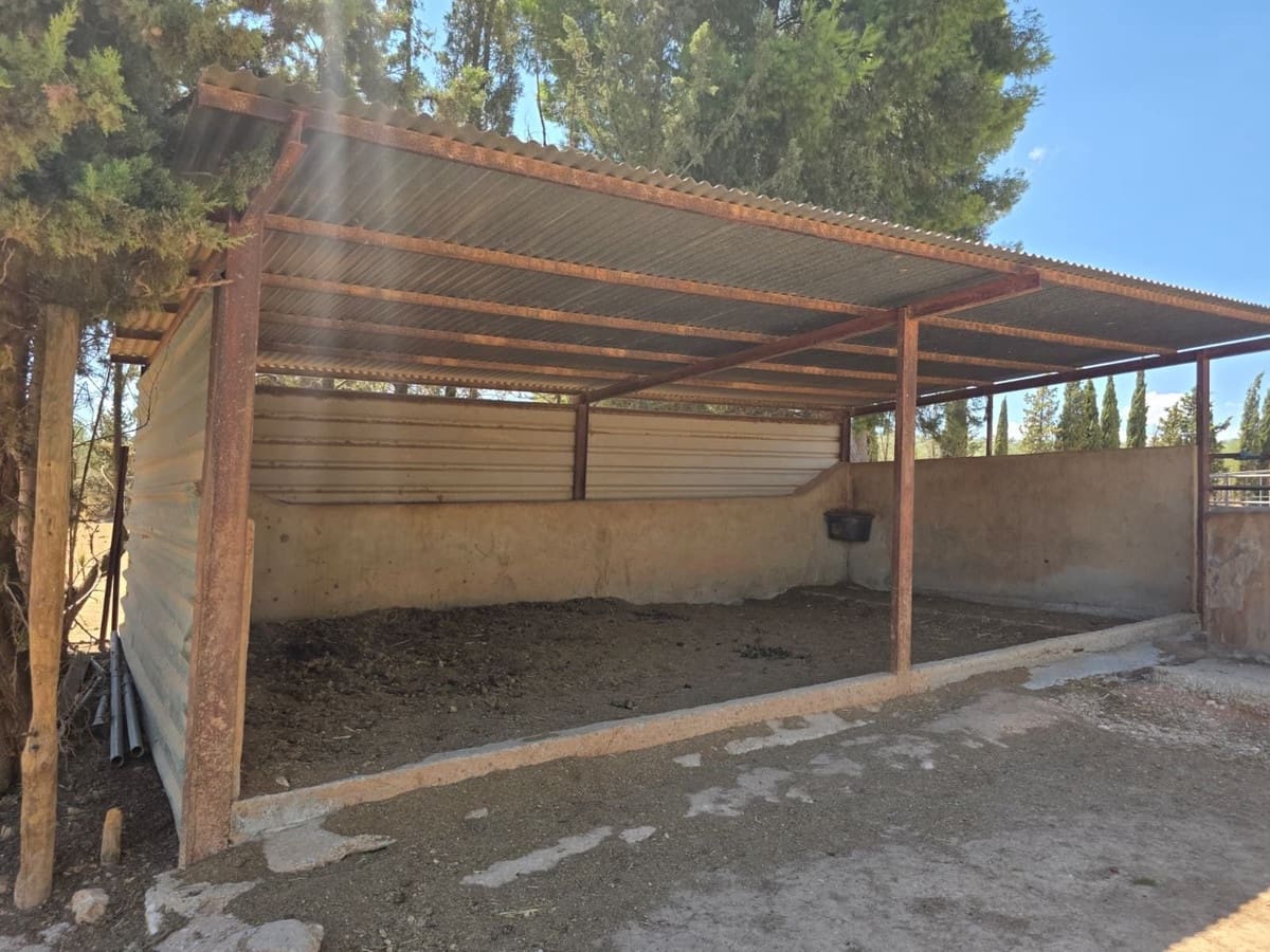 8 quarto Comercial para venda em Antequera com piscina garagem - 795 000 € (Ref: 10045849)