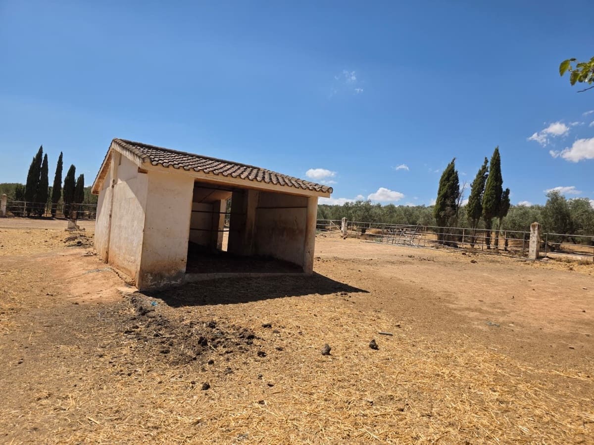 8 quarto Comercial para venda em Antequera com piscina garagem - 795 000 € (Ref: 10045849)